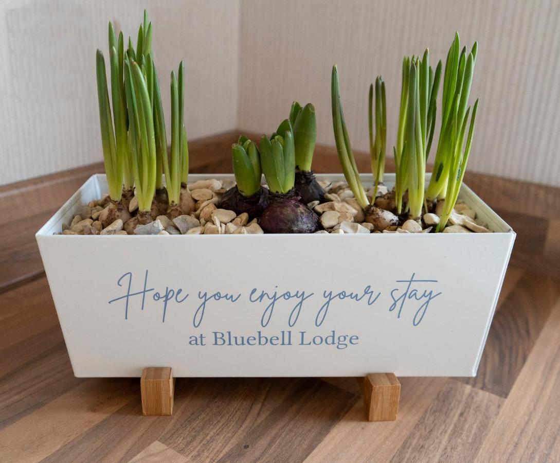 Hollicarrs - Bluebell Lodge Riccall Zewnętrze zdjęcie